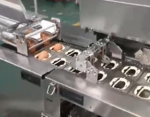 雙排敲蛋機-蛋清蛋黃分離器
