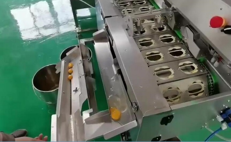 蛋清蛋黃分離器外掛雙排敲蛋機——現場實拍圖