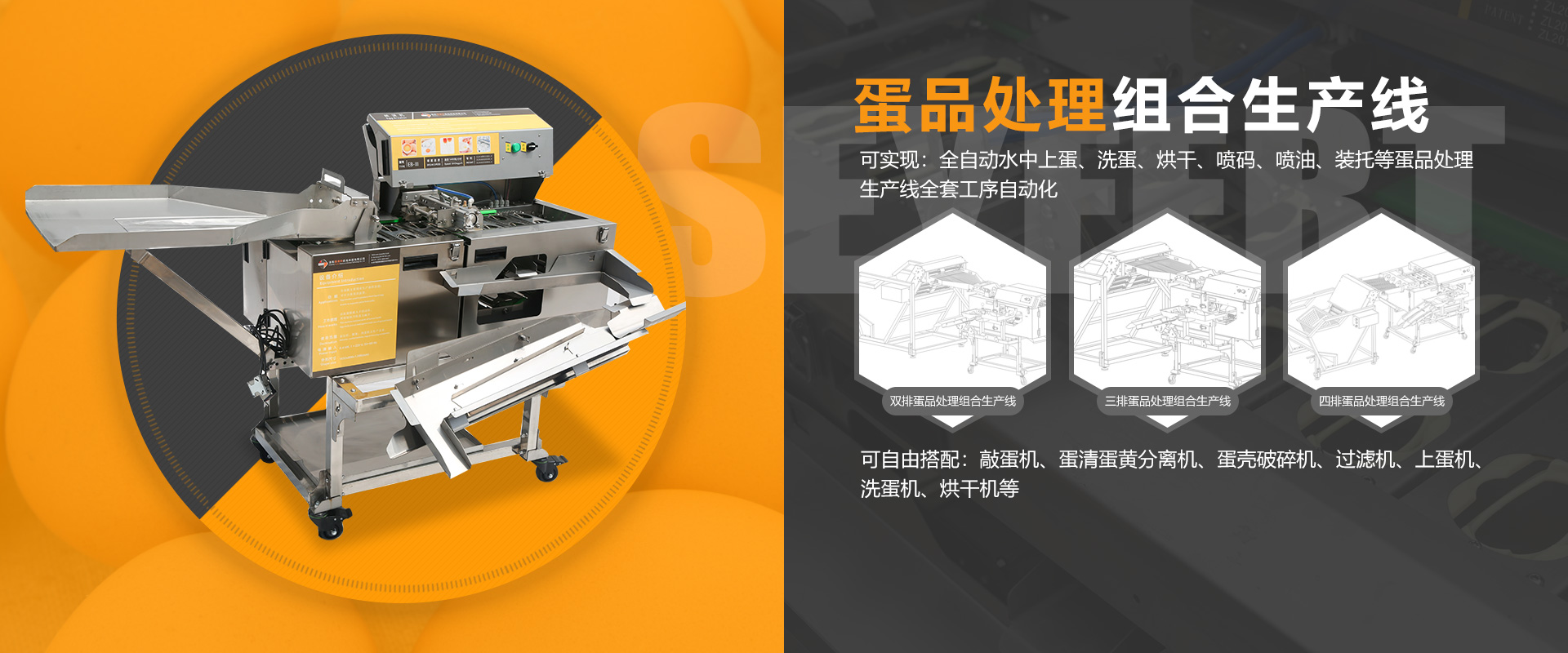 蛋品處理組合生產線