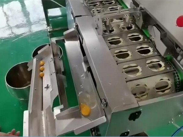 食品廠用蛋清蛋黃分離機怎么樣？優勢和作用介紹
